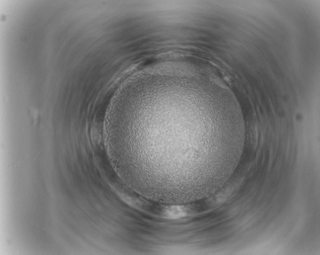 X0000070410091200606161422