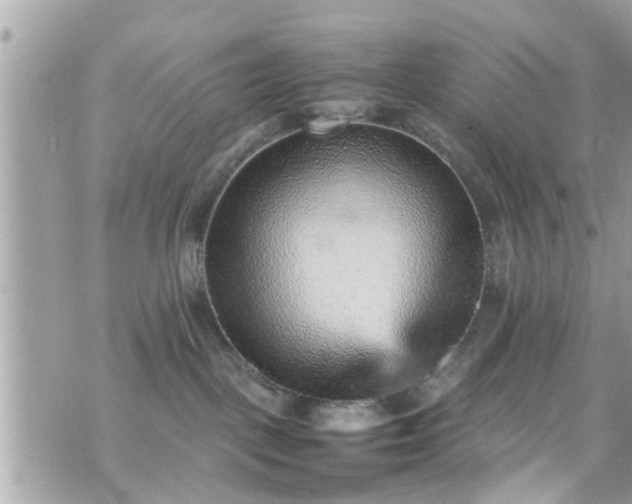 X0000070410093200606161422