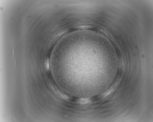 X0000070410095200606161422