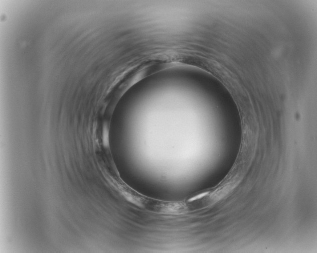 X0000070410096200606161422