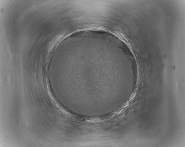 X0000070410097200606161421