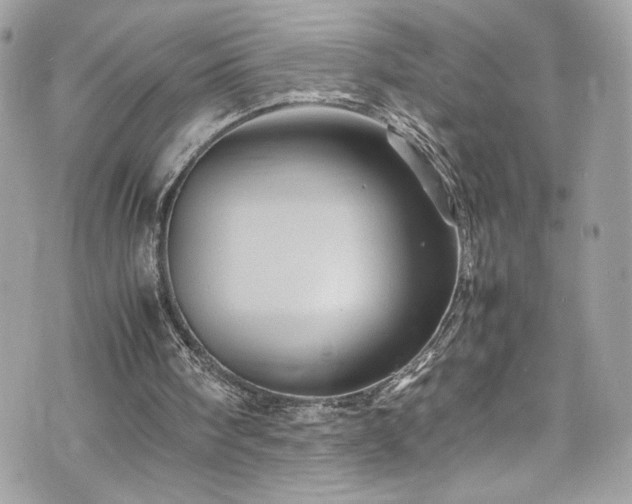 X0000070410098200606161421