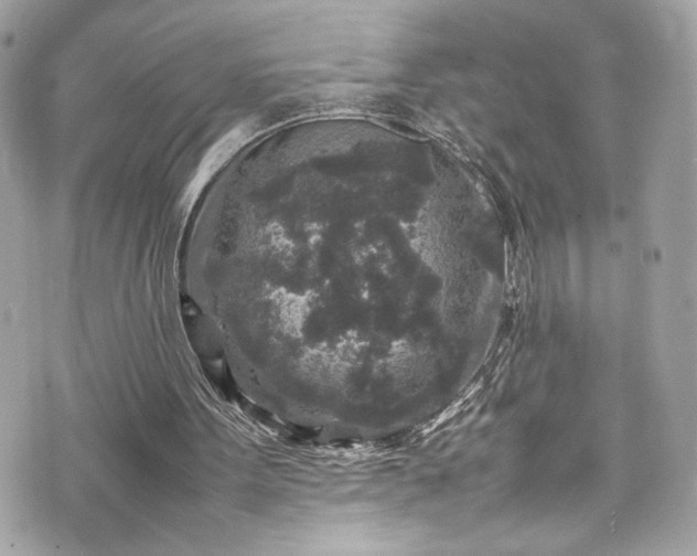 X0000070410099200606161421