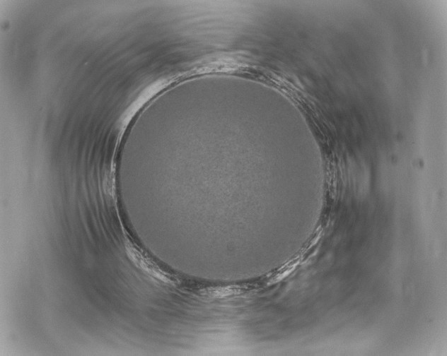 X0000070410100200606161421