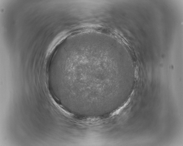 X0000070410101200606161421