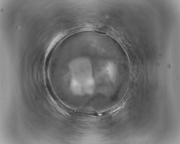 X0000070410102200606161421