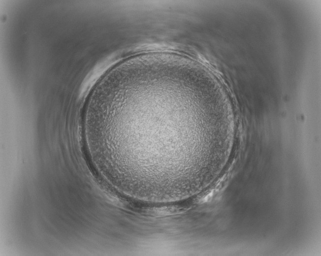 X0000070410103200606161421