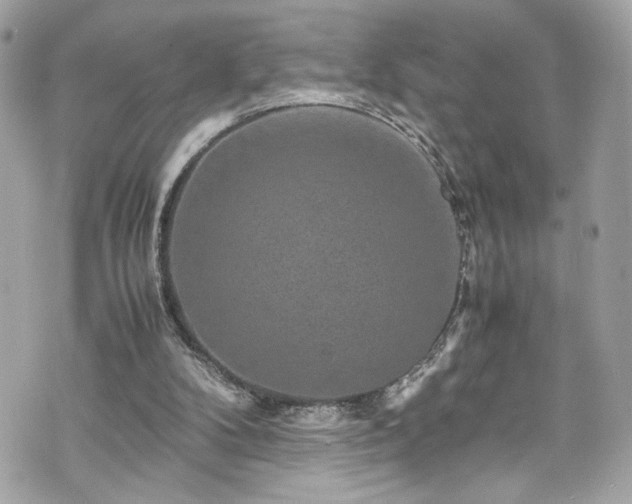 X0000070410104200606161421