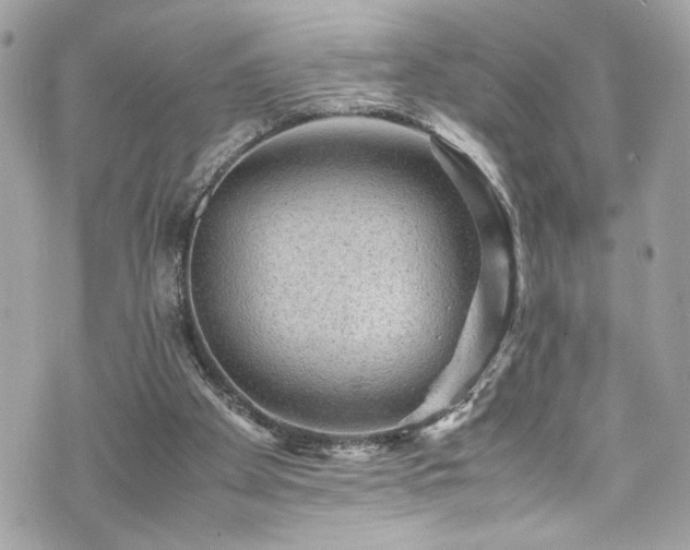 X0000070410105200606161421