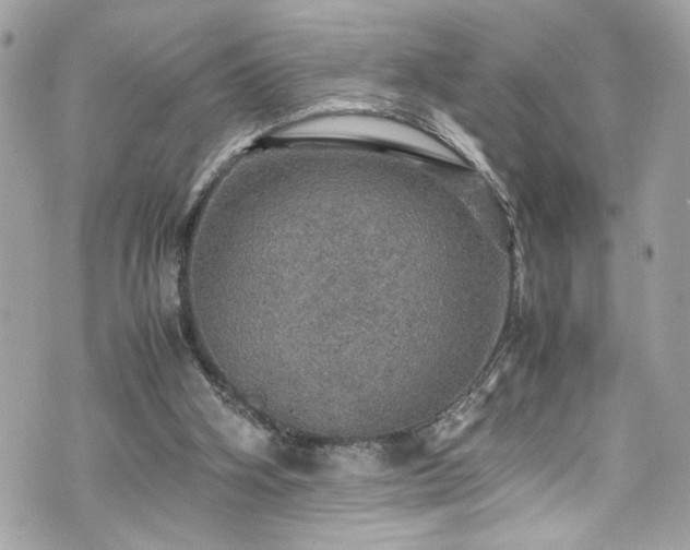 X0000070410106200606161421