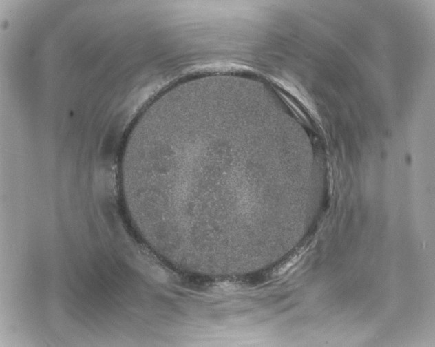 X0000070410111200606161421