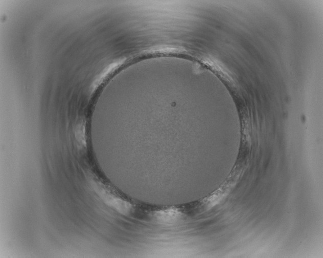 X0000070410112200606161421