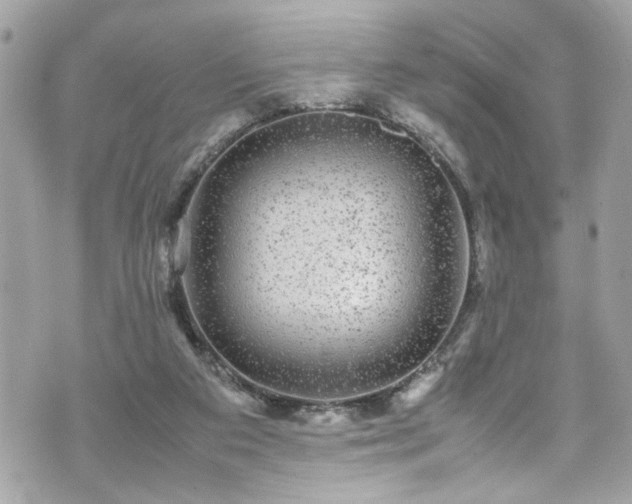 X0000070410113200606161421