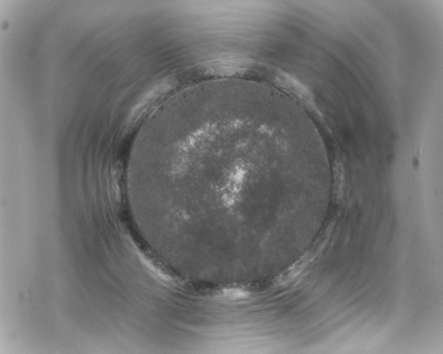 X0000070410114200606161421