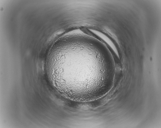 X0000070410115200606161421