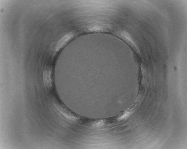 X0000070410116200606161421