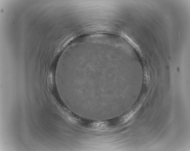 X0000070410117200606161421