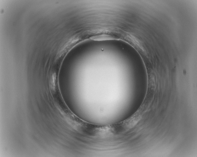 X0000070410118200606161421