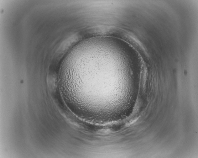 X0000070410119200606161421