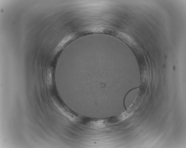 X0000070410120200606161421