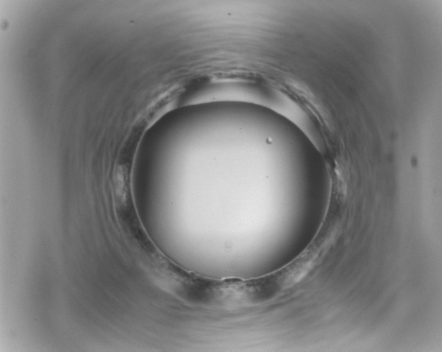 X0000070410121200606161421