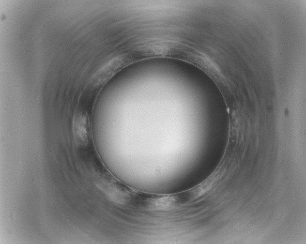 X0000070410122200606161421