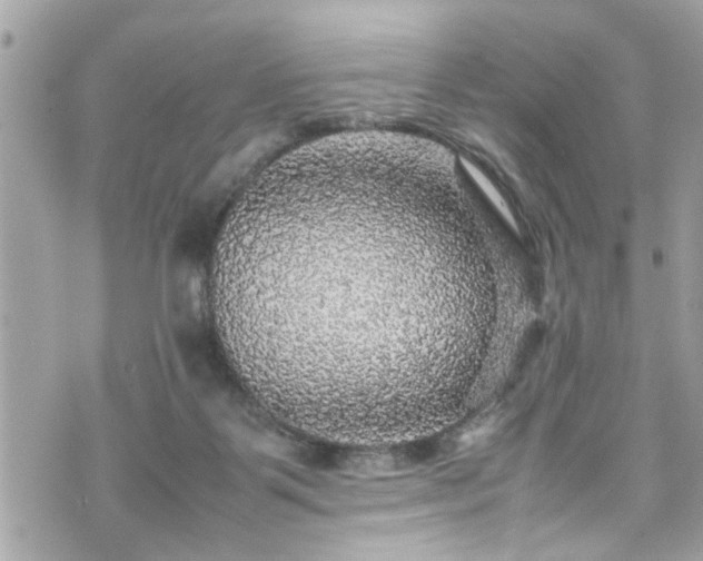 X0000070410123200606161421