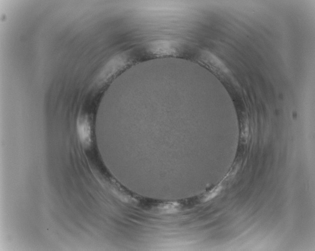 X0000070410124200606161421