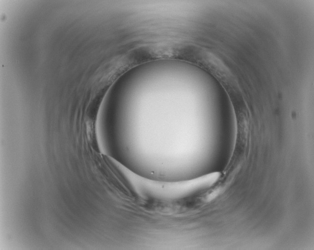 X0000070410125200606161421