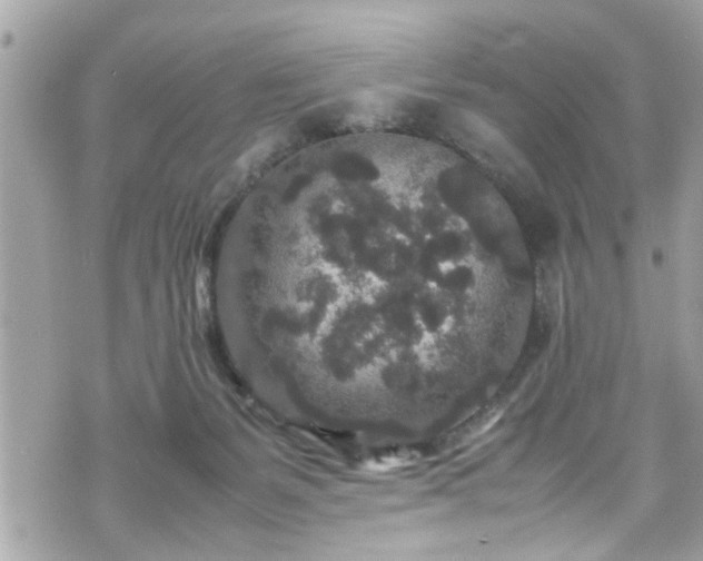 X0000070410127200606161421