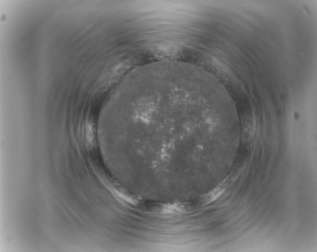 X0000070410130200606161421