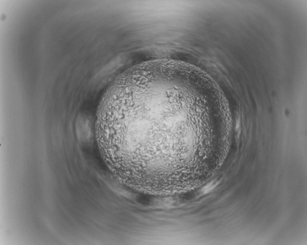 X0000070410131200606161421