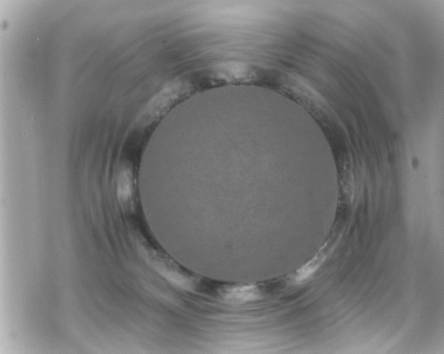 X0000070410132200606161421