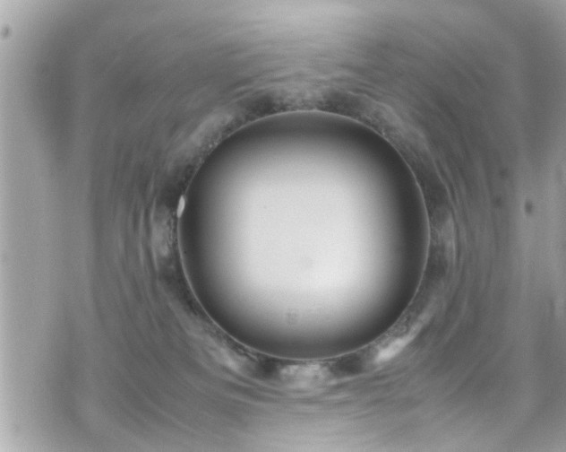 X0000070410133200606161421