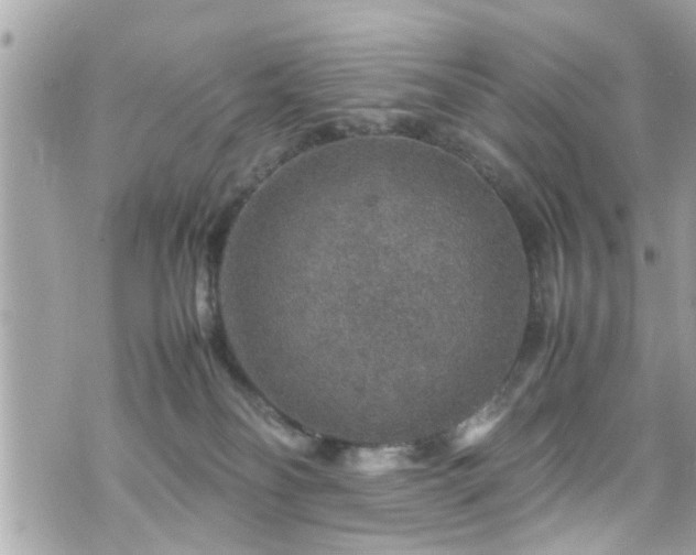 X0000070410134200606161421