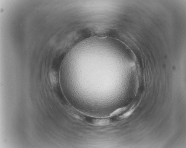 X0000070410135200606161421