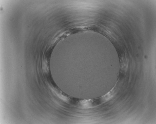 X0000070410136200606161421