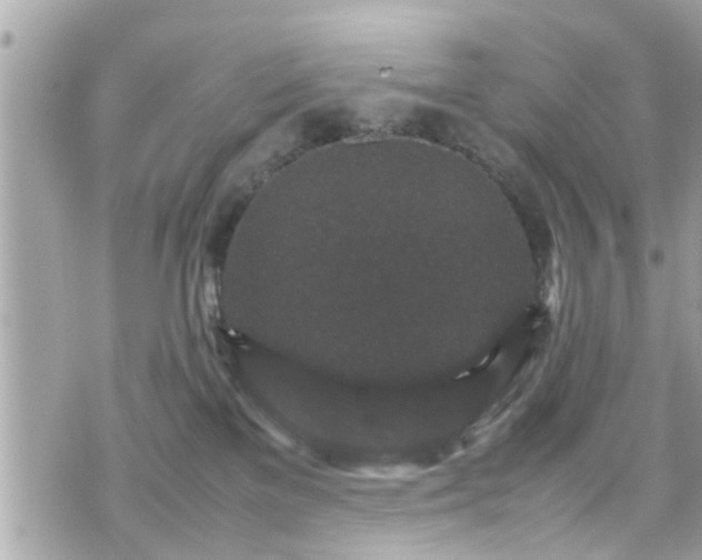 X0000070410137200606161421