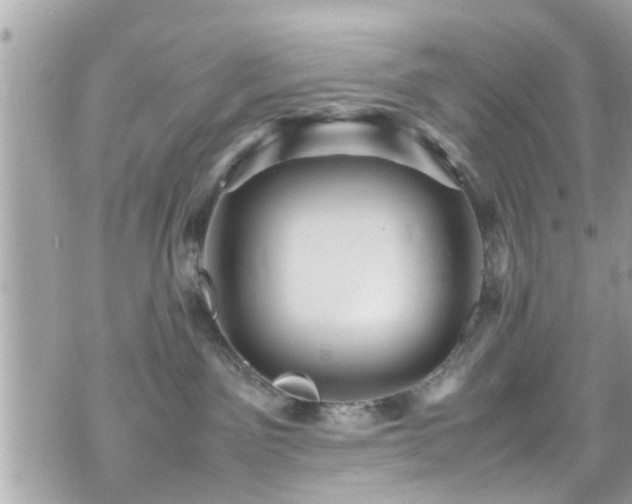 X0000070410141200606161421