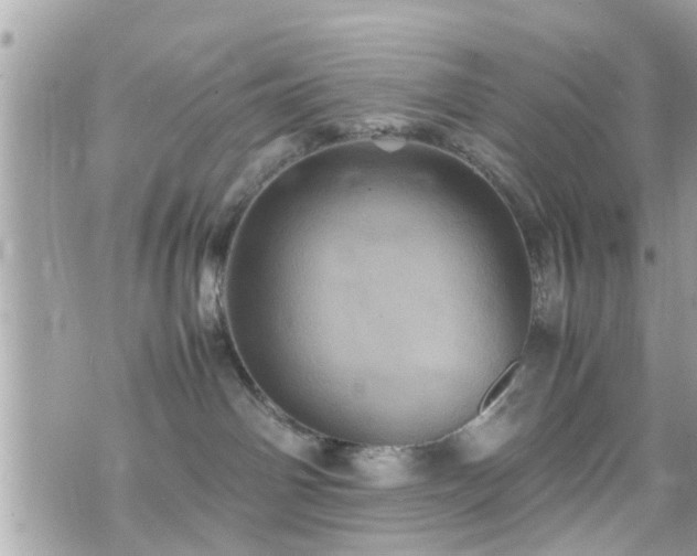 X0000070410142200606161421