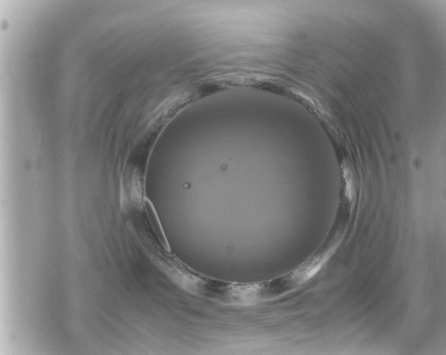 X0000070410143200606161421