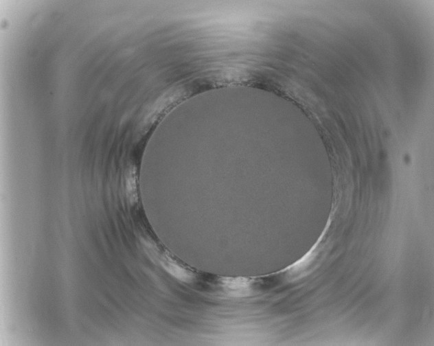 X0000070410144200606161421