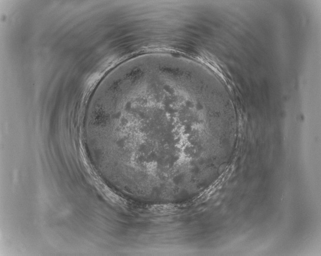 X0000070410145200606161420