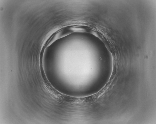 X0000070410148200606161420