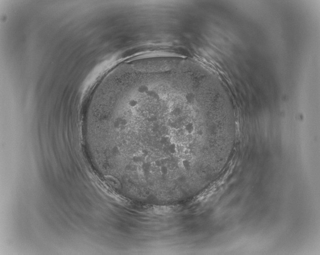 X0000070410149200606161420