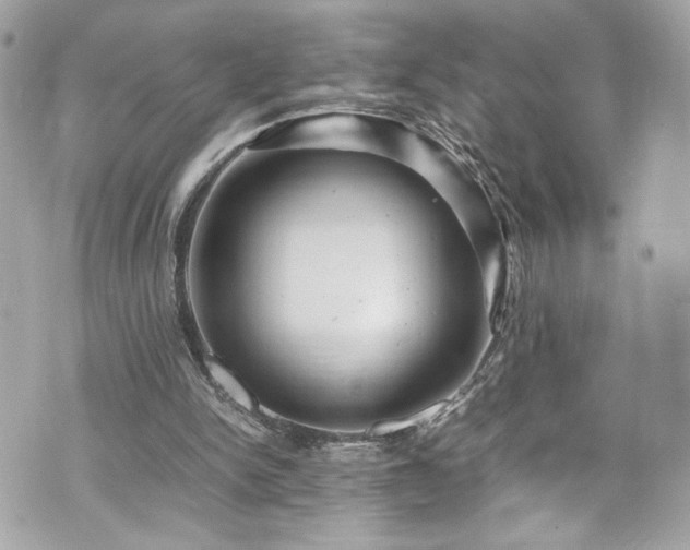 X0000070410150200606161420