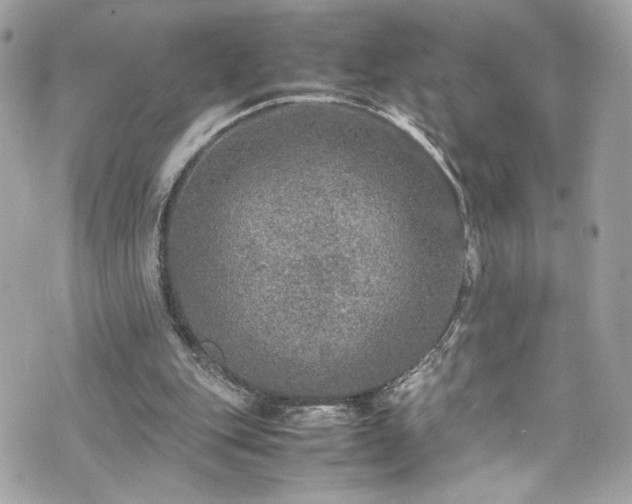 X0000070410151200606161420