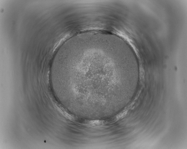 X0000070410153200606161420