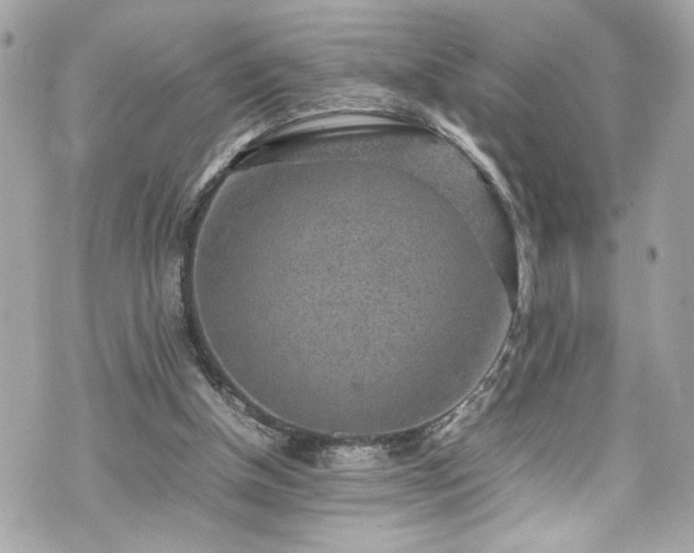 X0000070410154200606161420