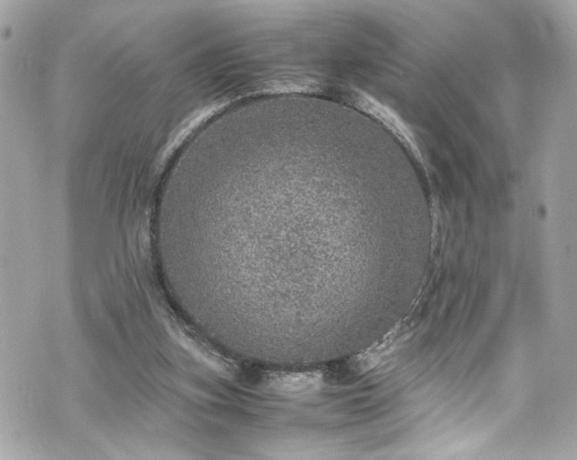 X0000070410155200606161420